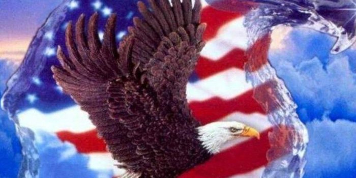 1024x768 Desktop eagle american flag wallpaper.jpg Desktop Background