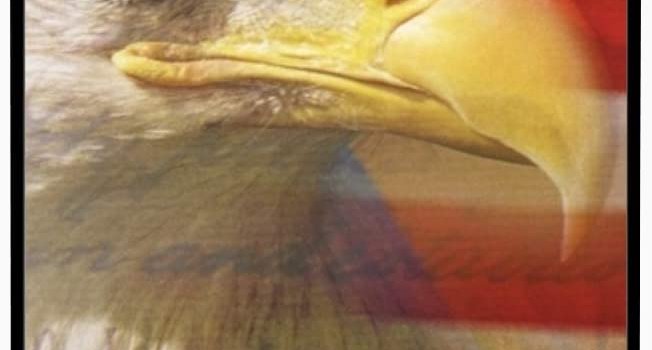 652x1276 Amazon.com: iPhone 6plus Case,American-Flag-Eagle-Wallpaper Full