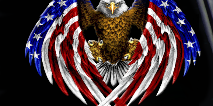 1500x1152 American Flag Eagle | Wallpapers Style