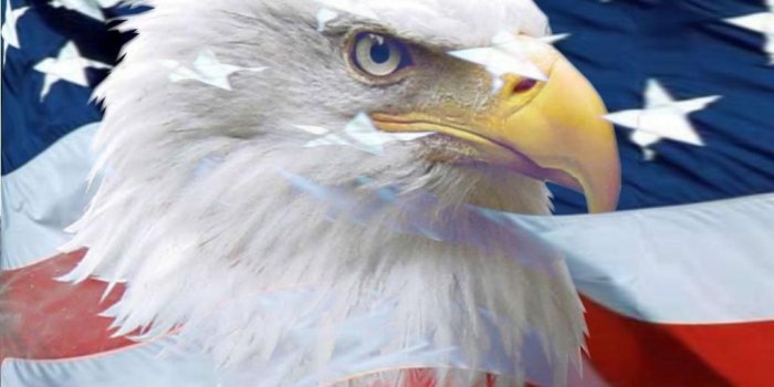 1024x1024 Best 36+ American Bald Eagle Wallpaper on HipWallpaper | Fourth of