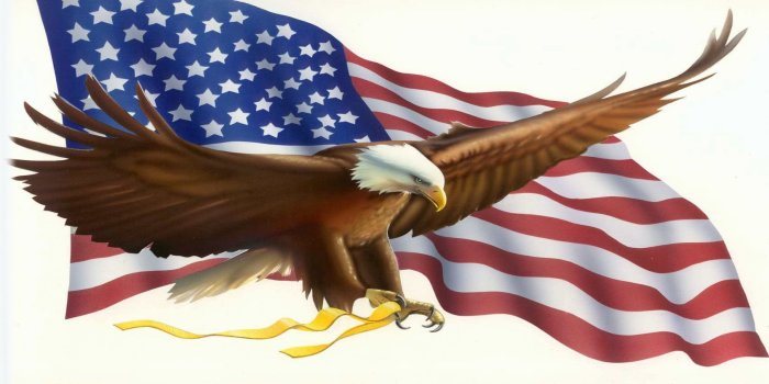 2560x1440 Bald eagle flag images