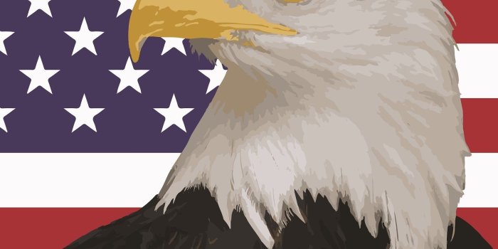 1644x2340 American Bald Eagle Wallpaper (58+ pictures)