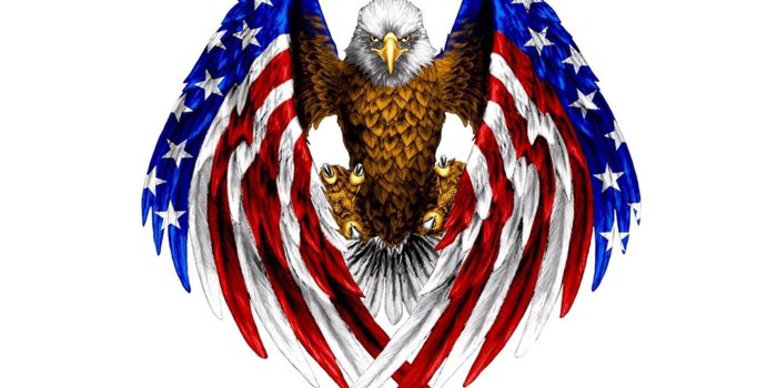 1920x1200 Bald Eagle In Color Of American Flag Red Blue And White Color