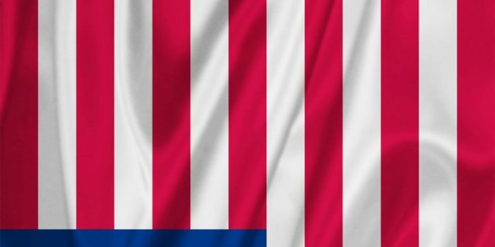 750x1334 Eagle Eye American Flag Wallpaper Hd Or Mobile Phone And Pc 750x1334