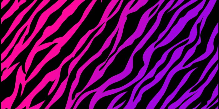 3516x2454 HD Rainbow Cheetah Print Wallpapers