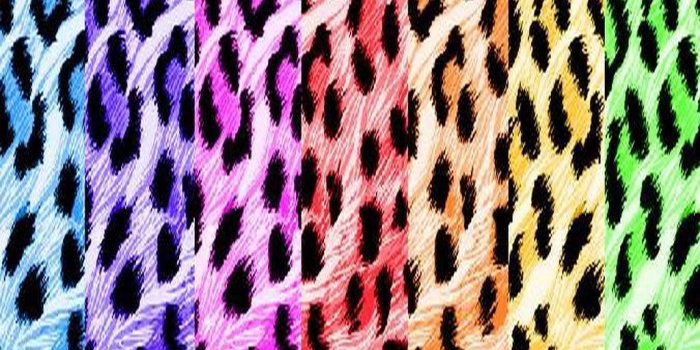 1024x768 Best 57+ Print Backgrounds on HipWallpaper | Floral Print