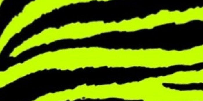 1200x1800 Yellow zebra print! (With images) | Animal print wallpaper, Pink