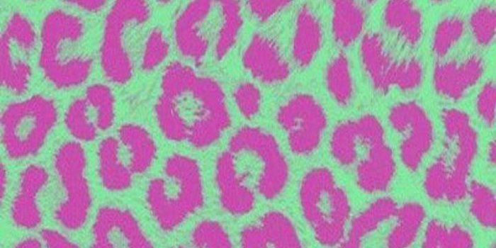 720x1280 Neon Cheetah wallpaper by Tw1stedB3auty - b7 - Free on ZEDGE™