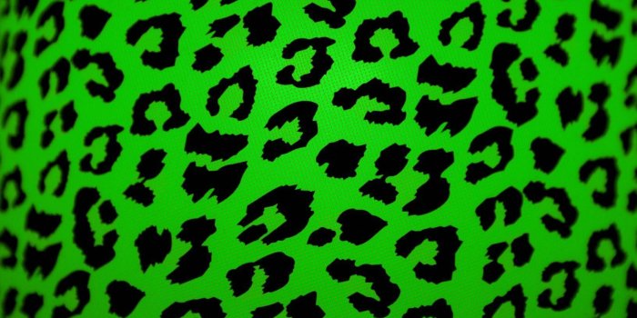 1632x1088 Animal Print Desktop Backgrounds