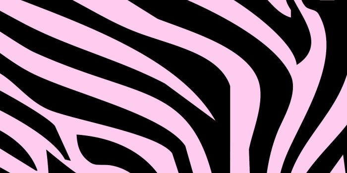 1700x1000 48+] Zebra Print Wallpapers on WallpaperSafari