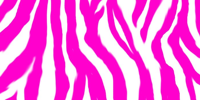 1920x1080 Free Colorful Cheetah Wallpaper, Download Free Clip Art, Free Clip