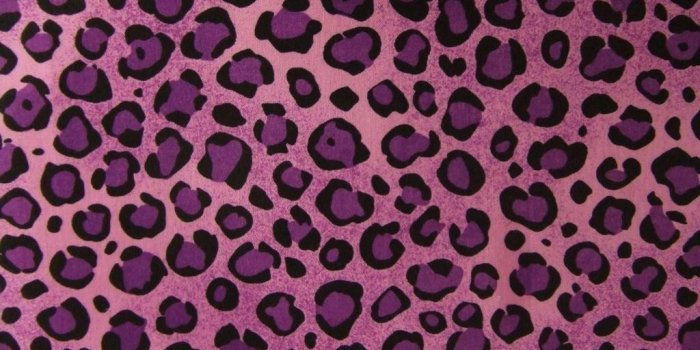 1024x768 Purple Cheetah Wallpapers Group (29+)