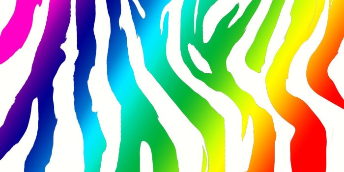 1240x800 45+] Rainbow Zebra Print Wallpaper on WallpaperSafari