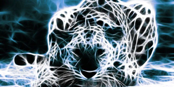 1920x1080 Colorful Cheetah Wallpapers (68+ images)