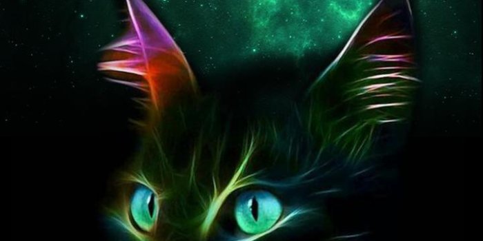 720x1280 Animal Galaxy Neon Live Wallpapers for Android - APK Download