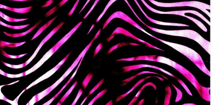 1600x1200 Zebra Print Wallpaper HD