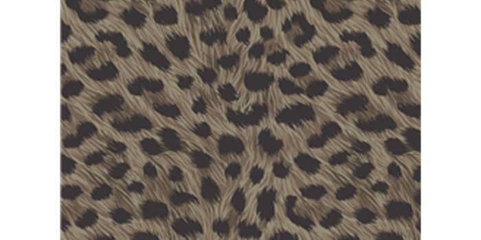 1600x1600 Animal Print Wallpaper Wall Decor Tiger Leopard Zebra - Leopard