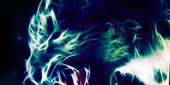 720x1280 Animal Galaxy Neon Live Wallpapers for Android - APK Download