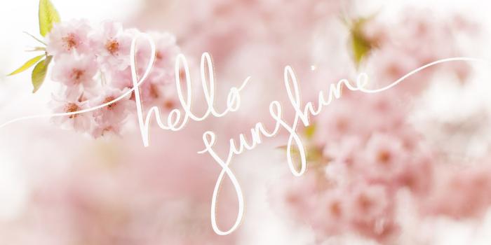 1920x1080 55+ Spring Desktop Wallpaper Screensaver