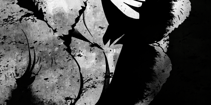 1350x2400 Roronoa Zoro Wallpaper Phone