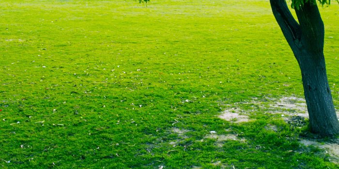 4752x3039 Best 53+ 16K Wallpaper on HipWallpaper | 16K Wallpaper, 16K