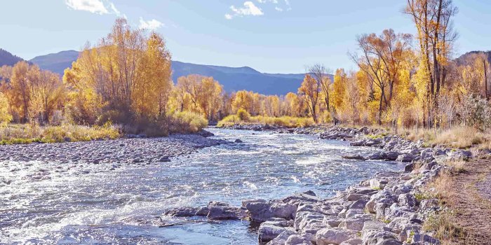 2194x3900 Best Ultra HD Wallpapers 1080p for Mobile - Az-Quotes