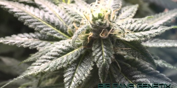 1920x1080 Production Room C Dead Diesel 16k In 4k Ultra Hd - Imagenes 16k