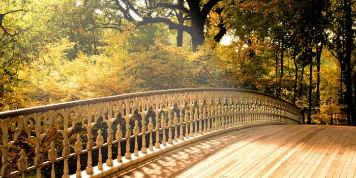 1600x1101 Best 48+ Dictionary Wallpaper on HipWallpaper | Dictionary