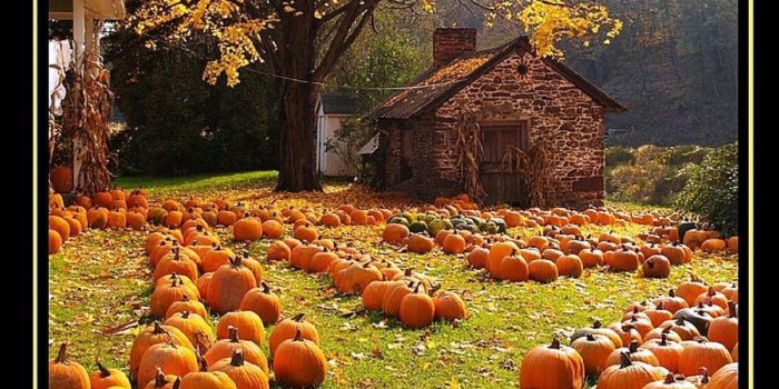 1920x1080 Fall Harvest wallpaper ·① Download free amazing HD backgrounds