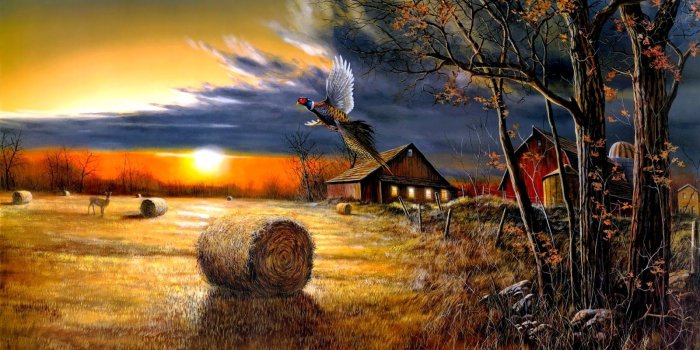 1600x1000 Best 58+ Harvest Wallpaper on HipWallpaper | Harvest Wallpaper