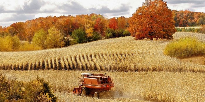 1600x900 48+] Free Harvest Desktop Wallpaper on WallpaperSafari