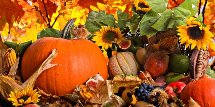 1900x1200 Best 53+ Harvest Backgrounds on HipWallpaper | Harvest Wallpaper