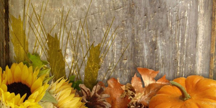 1920x1080 Fall Harvest wallpaper ·① Download free amazing HD backgrounds