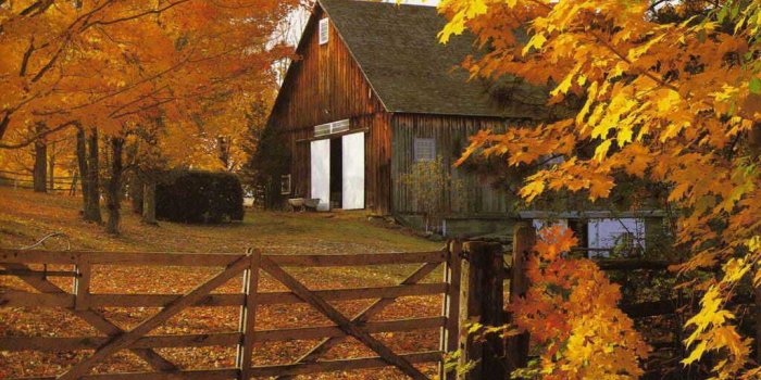 1024x768 Fall Harvest Wallpapers