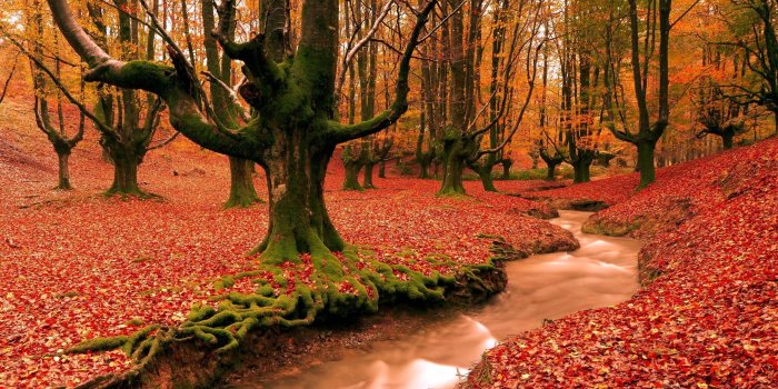 2304x1440 Harvest Wallpaper for My Desktop (64+ images)