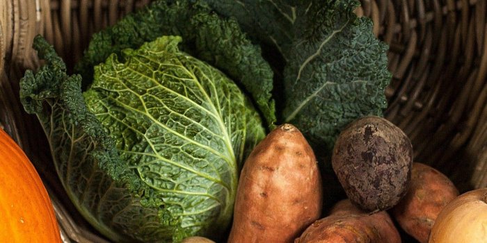 1440x2560 Fall Harvest Wallpaper - iPhone, Android & Desktop Backgrounds