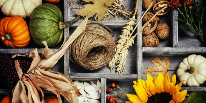 1332x850 Wallpaper autumn, leaves, basket, harvest, pumpkin, vegetables