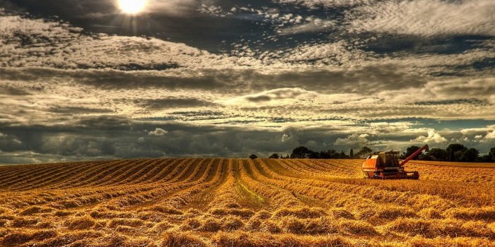 1280x1024 Harvest Desktop Backgrounds