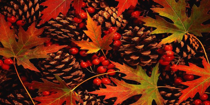 1440x900 Free download Fall Harvest Desktop HD Wallpapers Amazing