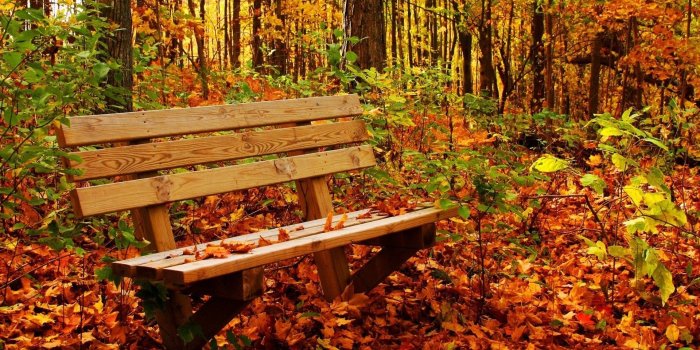 1920x1200 Fall Harvest Desktop HD Wallpapers Amazing Wallpaperz 1920x1200