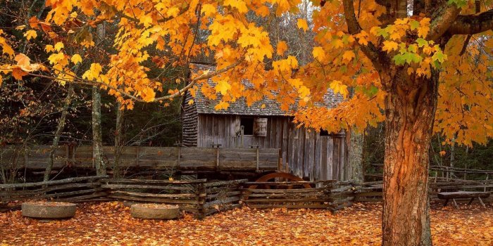 1920x1080 46+ Fall Harvest Wallpapers on WallpaperPlay