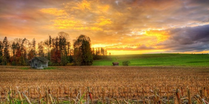 1280x800 Harvest Desktop, Download Wallpapers on Jakpost.travel