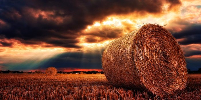 1920x1080 Harvest Desktop Wallpaper | Computer Background Images