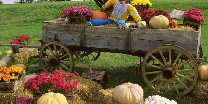 1920x1080 Harvest Desktop Backgrounds