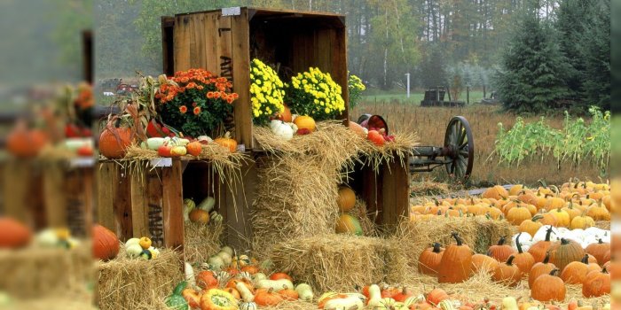 1920x1080 Autumn Desktop wallpaper | Herbstdeko, Herbst hintergrundbild