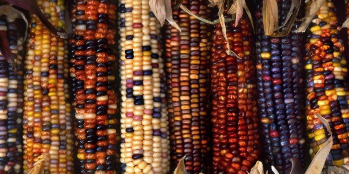 1920x1200 Fall Harvest Wallpapers Desktop Backgrounds Desktop Background