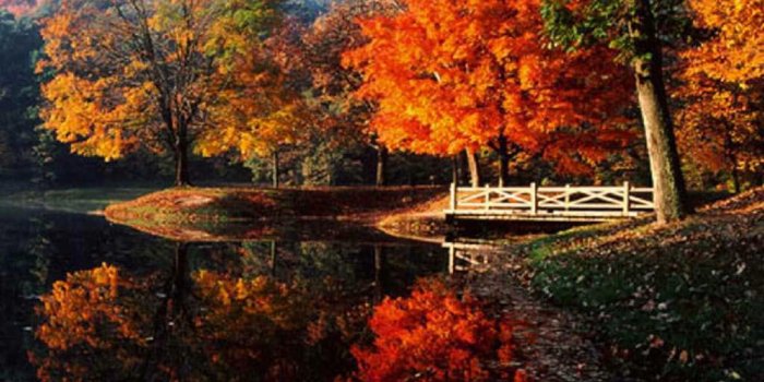 1024x768 Free Harvest Desktop Wallpaper (1024x768 px, 0.12 Mb) - Picserio.com