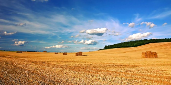 1200x800 Best 58+ Harvest Wallpaper on HipWallpaper | Harvest Wallpaper