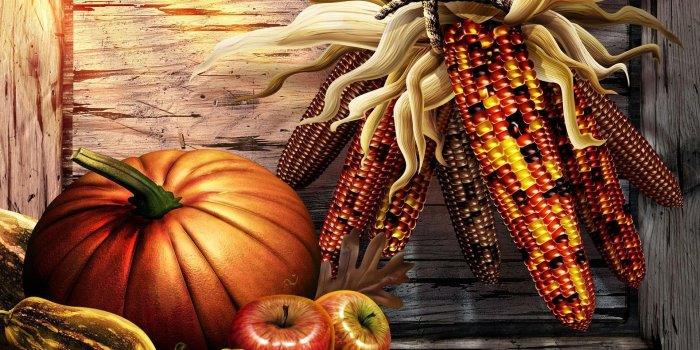 1920x1200 Fall Harvest Wallpapers