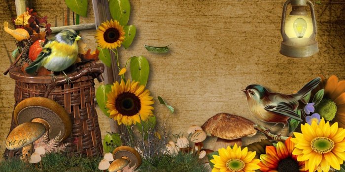 1920x1080 Fall Harvest wallpaper ·① Download free amazing HD backgrounds